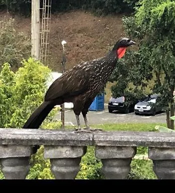 Recanto Dos Passaros Em Petropolis Exterior foto