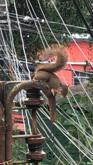 Recanto Dos Passaros Em Apartment